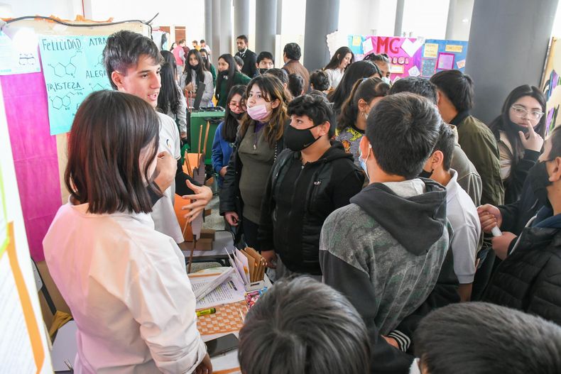 Se Conocieron Los Proyectos Ganadores De La Feria De Ciencias