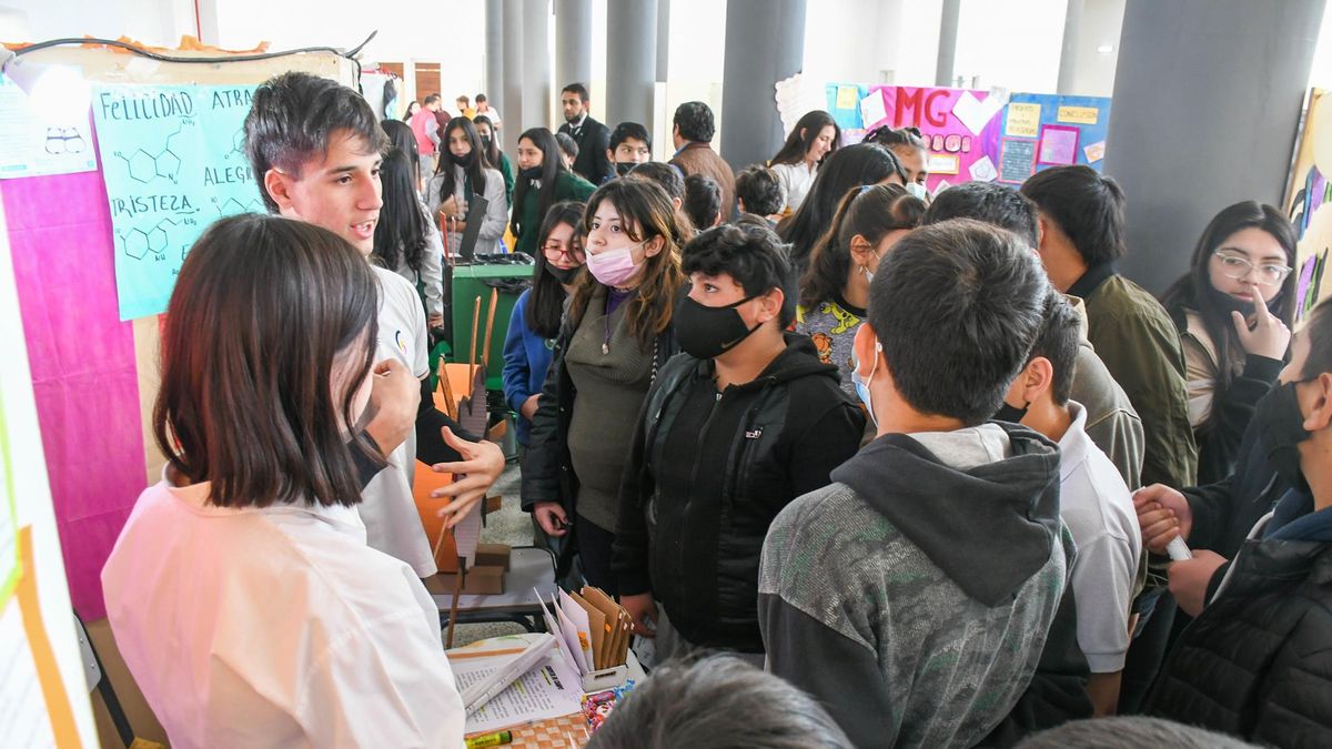 Se Conocieron Los Proyectos Ganadores De La Feria De Ciencias