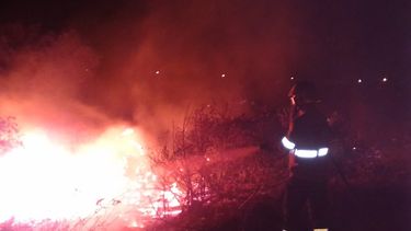 Sofocaron un incendio de pastizales en el Adán Quiroga