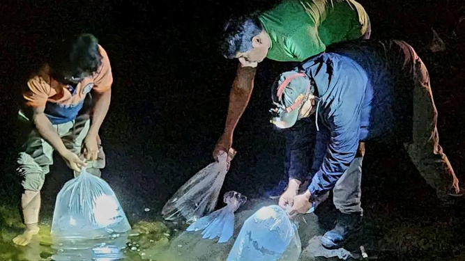 Impulso a la pesca deportiva y prevención ambiental
