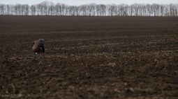 La ONU advierte por la escaces y suba en los precios de los cereales.&nbsp;