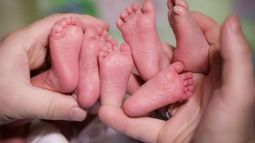 Nacieron trigemelas en Chubut, un evento que ocurre una vez cada 100 millones de embarazos Nacieron trigemelas en Chubut, un evento que ocurre una vez cada 100 millones de embarazos