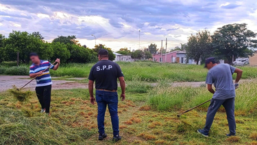 personas privadas de la libertad realizaron tareas de mantenimiento