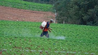 Agrónomos. Consideran que falta control y fiscalización de las zonas productivas en la provincia.