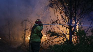 ambientalistas califican de ecocidio la falta de fondos contra los incendios