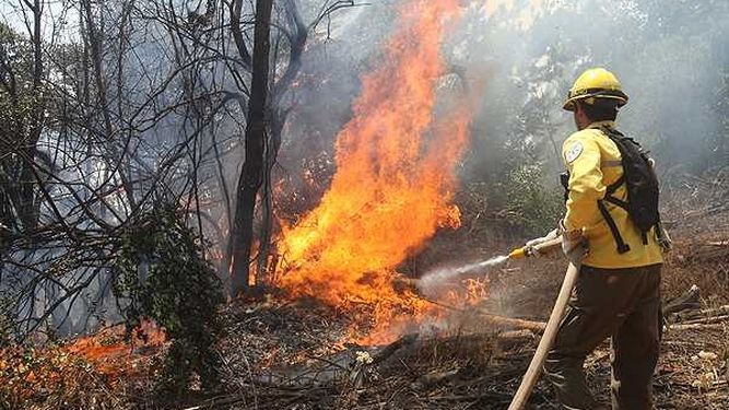 El gobierno pagará un bono de 10.000 pesos a brigadistas que combaten incendios forestales