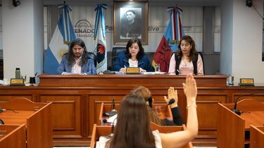 registro de rescatistas y nuevas iniciativas aprobadas en el senado