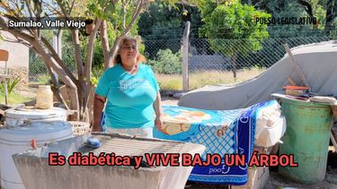 Valle Viejo: es diabéticva y vive bajo un árbol&nbsp;