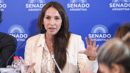 Senado: se aprobó el pliego de la jueza Michelli