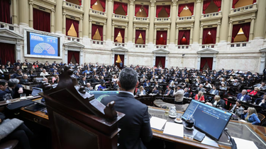 la oposicion pidio sesionar para intentar rechazar los vetos sobre pediatria, universidades y atn
