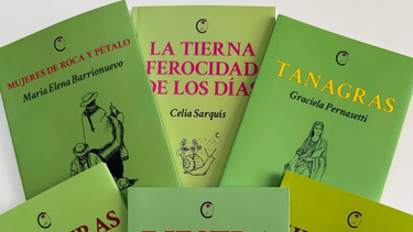 Chinitas: la colección que redefinió el canon literario catamarqueño