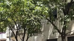 Denuncia por el uso de vehículo oficial para mudanzas
