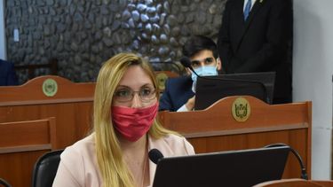 Saseta se presentó en la Justicia
