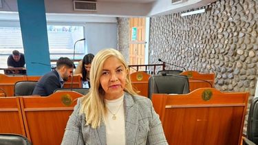 Diputada. Cristina Gómez.&nbsp;