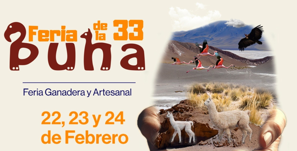 Encuentro. La Feria de la Puna es un encuentro muy esperado.