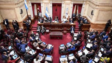El Senado debate el proyecto de pago al FMI con fondos fugados.&nbsp;