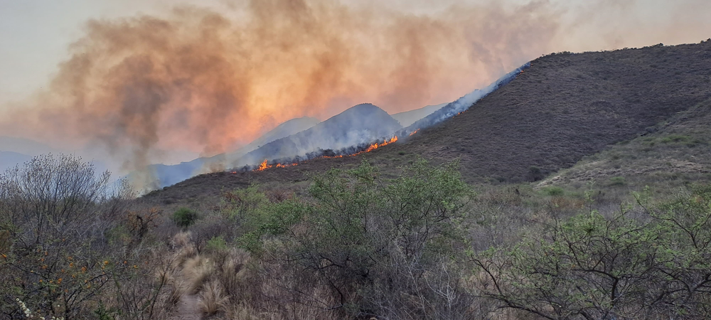 Zozobra. Los incendios forestales generaron un gran despliegue.&nbsp;