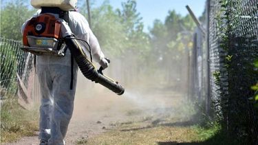 alarma en santa fe por aumento significativo de casos de dengue: mas del 40% en una semana