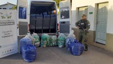 gendarmeria incinero mas de 200 kilos de hojas de coca