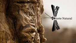 Testimonio colectivo de este tiempo en la Antología Poética Norte Natural
