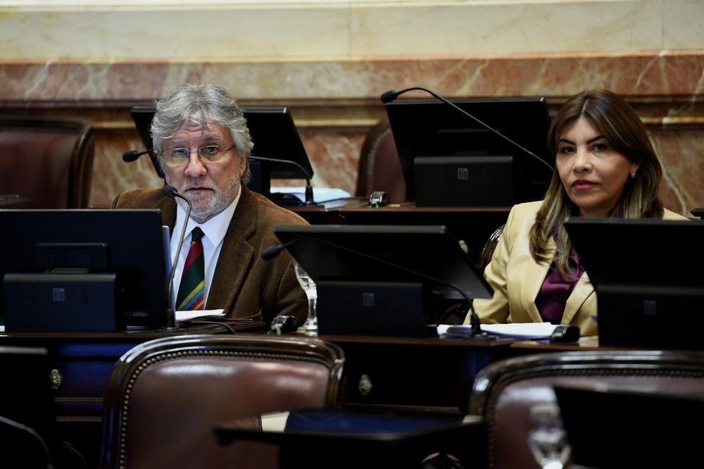 El Senado dio media sanción al proyecto para dividir en Salas la Cámara Federal de Tucumán