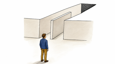 la ilusion de la libre eleccion