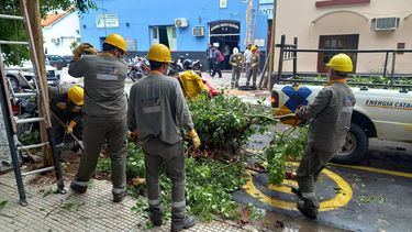 un camion tiro cables, un poste y dano una camioneta sobre calle tucuman