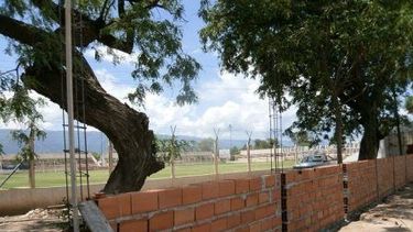 se levanta la pared que se habia caido