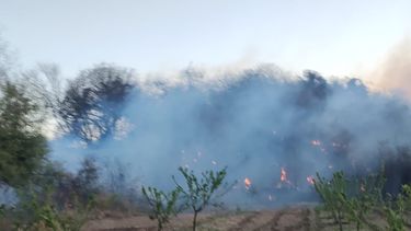 se registraron tres incendios en menos de dos horas en andalgala