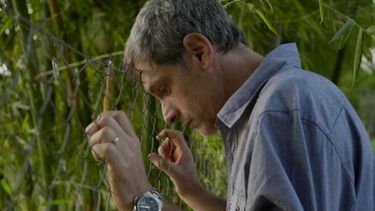 Se estrena “El hijo buscado”