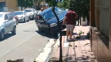 choco contra un arbol en pleno centro