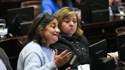 Corpacci impulsa la interpelación al Ministro de Salud y a las autoridades de la ANMAT