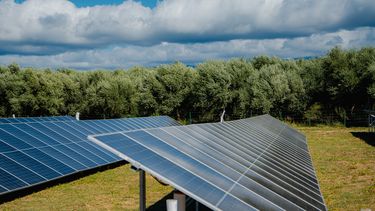 el cfi impulsa la reconversion energetica en proyectos productivos locales