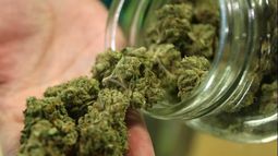 Un policía se llevó medio kilo de marihuana a su casa