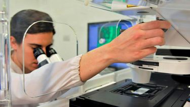por primera vez en 20 anos, el conicet disminuyo la cantidad de cientificos