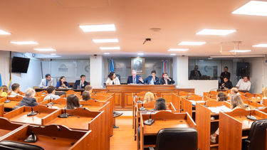 diputados analiza los proyectos de reiterancia delictiva y banco de datos geneticos