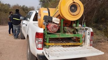 Alerta por la llegada de un remanente de langostas