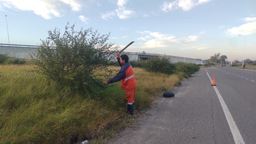 realizan tareas de desmalezado sobre ruta nacional 38