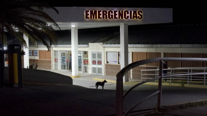 Un pitbull atacó a una mujer en Valle Chico