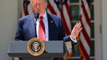 donald trump anuncio un alto el fuego de tres dias entre rusia y ucrania