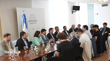 Impulsan proyectos para proteger la cadena de valor textil desde el Senado