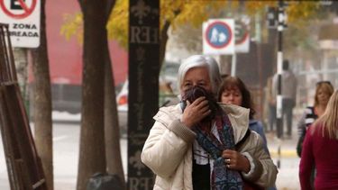 las cenizas del volcan chileno llegaron a buenos aires