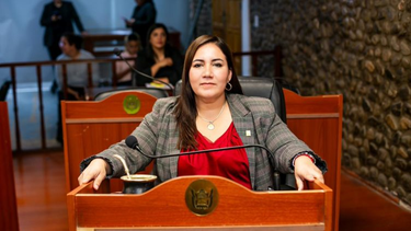 Jalil pretende anular la Legislatura