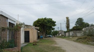 Envenenan perros en la zona alta de la Capital para robar