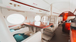 Conocé el lujoso avión privado en el que viajó Javier Milei a la cumbre de millonarios