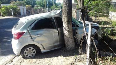 Un auto chocó contra un árbol en San Antonio