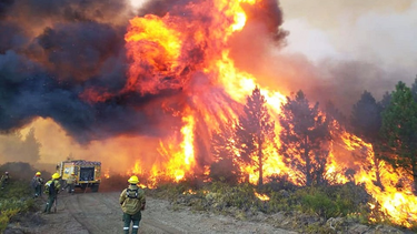 Cuando el fuego avanza y el Estado retrocede