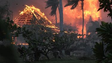 Incendios forestales en Hawái