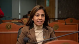 Virginia del Arco