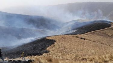 Ardua tarea. Una gran cantidad de personas trabaja para sofocar las llamas en la zona de difícil acceso.